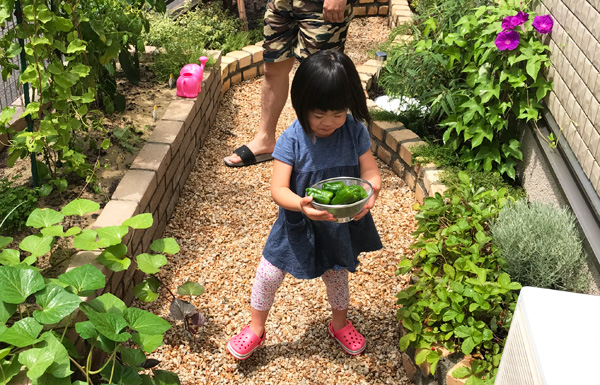 ダウン症児の成長日記　家庭菜園